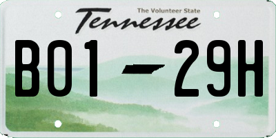 TN license plate B0129H
