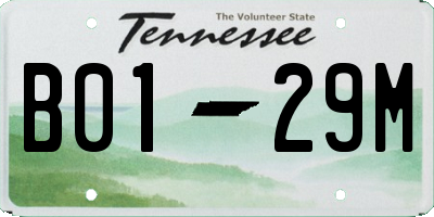 TN license plate B0129M