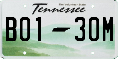 TN license plate B0130M