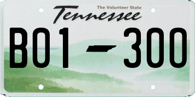 TN license plate B0130O