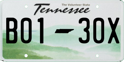 TN license plate B0130X