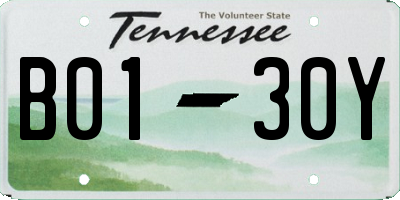 TN license plate B0130Y