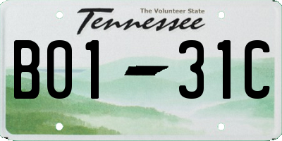 TN license plate B0131C