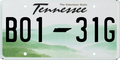 TN license plate B0131G