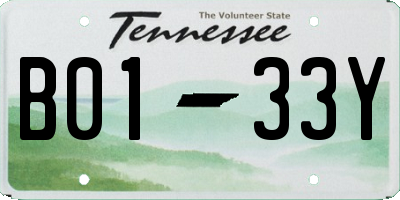 TN license plate B0133Y