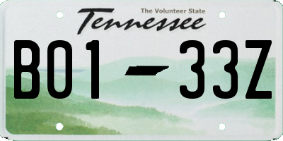 TN license plate B0133Z