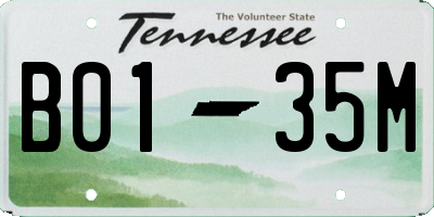 TN license plate B0135M