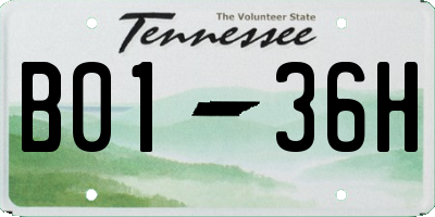 TN license plate B0136H