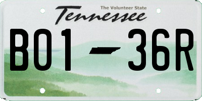 TN license plate B0136R