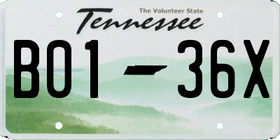 TN license plate B0136X