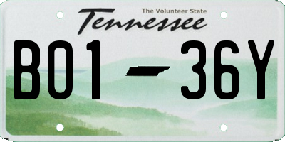 TN license plate B0136Y
