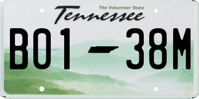 TN license plate B0138M