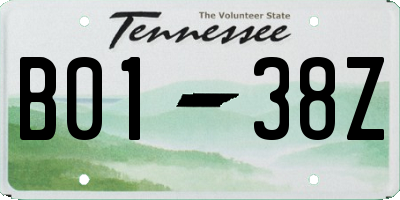 TN license plate B0138Z