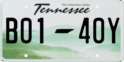 TN license plate B0140Y