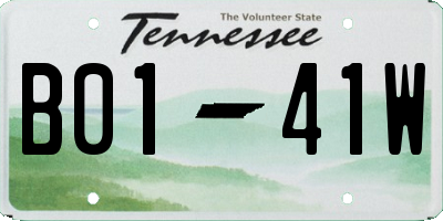 TN license plate B0141W