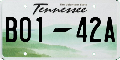 TN license plate B0142A