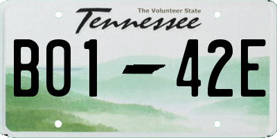 TN license plate B0142E