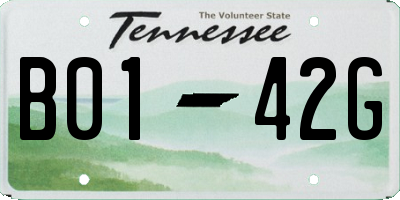 TN license plate B0142G