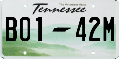 TN license plate B0142M