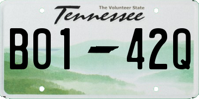 TN license plate B0142Q