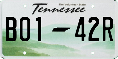 TN license plate B0142R