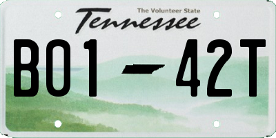 TN license plate B0142T
