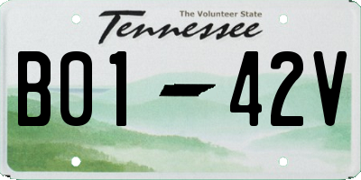 TN license plate B0142V