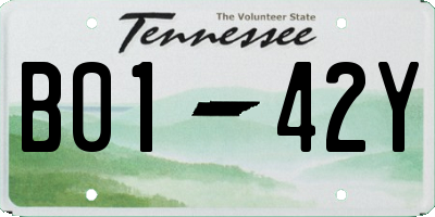 TN license plate B0142Y
