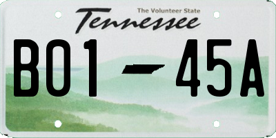 TN license plate B0145A