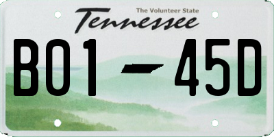 TN license plate B0145D