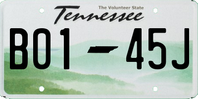 TN license plate B0145J