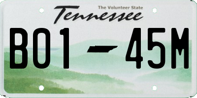 TN license plate B0145M