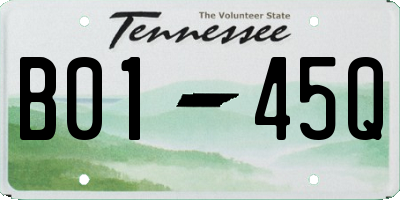 TN license plate B0145Q