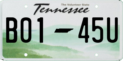 TN license plate B0145U