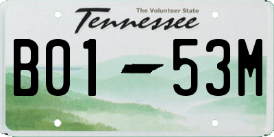 TN license plate B0153M