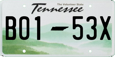 TN license plate B0153X