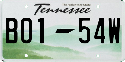 TN license plate B0154W