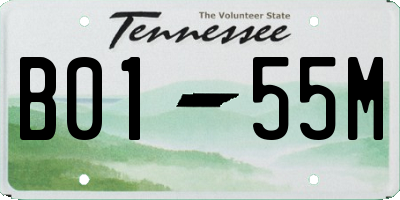 TN license plate B0155M