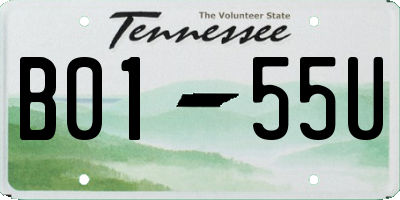TN license plate B0155U