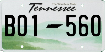 TN license plate B0156O
