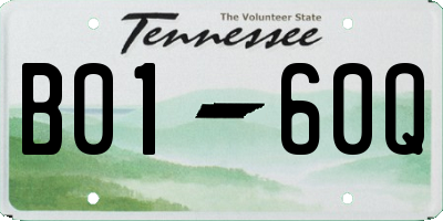 TN license plate B0160Q