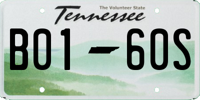 TN license plate B0160S