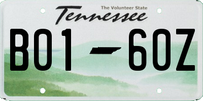 TN license plate B0160Z
