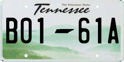 TN license plate B0161A