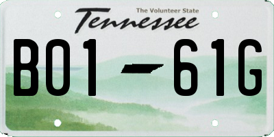 TN license plate B0161G