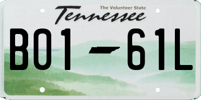 TN license plate B0161L