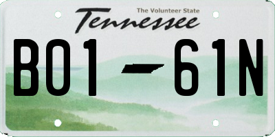 TN license plate B0161N