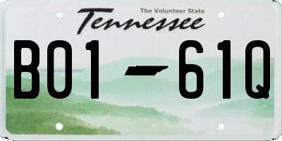 TN license plate B0161Q