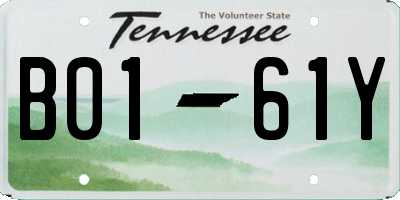 TN license plate B0161Y