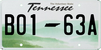 TN license plate B0163A